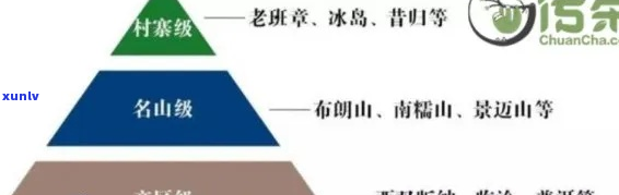 中粮普洱茶等级分类详解：究竟如何定义其品质？