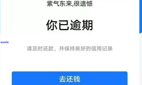 山西借呗负债逾期怎么办-山西借呗负债逾期怎么办理