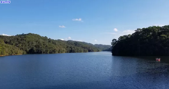 揭秘普洱茶六大名山：哪六大山脉孕育了更优质的普洱茶？