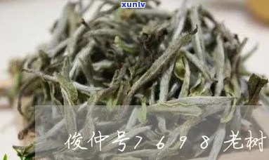 俊仲号7698老树普洱茶：古树韵味，年份精选，品质越