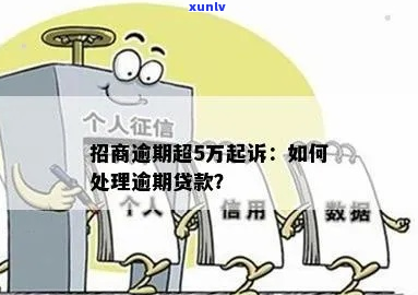 e招贷欠款5万被起诉应该怎么处理-e招贷欠了五万能买房贷款吗