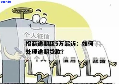 e招贷欠款5万被起诉应该怎么处理-e招贷欠了五万能买房贷款吗