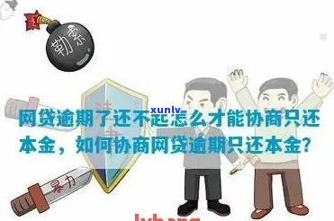 可不可以协商网贷利率和还款方式-可以协商还款的网贷