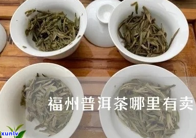 福州普洱茶哪里买比较好一点