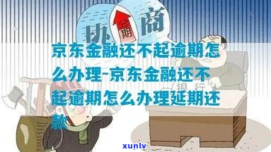 京东金融首次逾期还款后果-京东金融首次逾期还款后果是什么