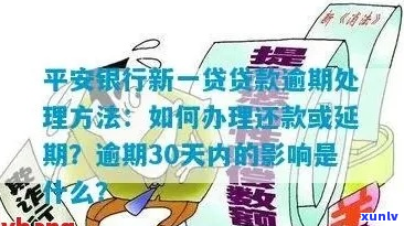 新一贷逾期方式及注意事项-新一贷逾期方式及注意事项图片