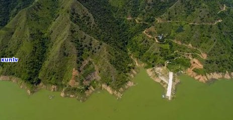 普洱茶九种山寨：与质量排行，揭秘十大热门山寨系列