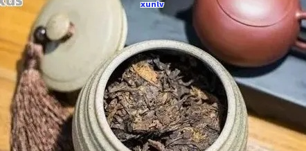 如何存普洱茶散茶以保持其品质？