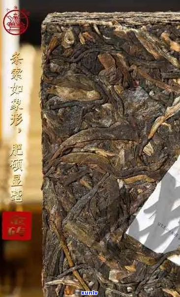 普洱茶长时间存放会变质吗？如何正确保存普洱茶以防止霉变？