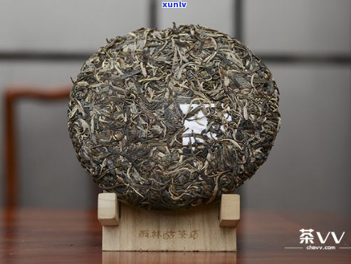 雨林古树茶高山大野现在什么价位-雨林古树茶高山大野2013