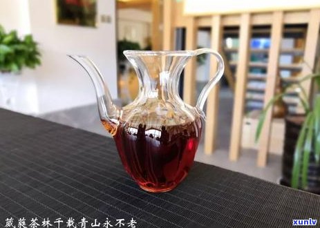 普洱茶对牙齿的影响：保护还是损害？