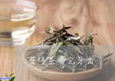 普洱茶的保健功效：如何帮我们保护牙齿？