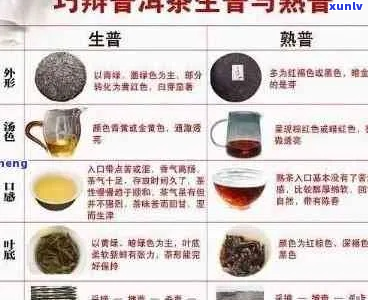 普洱茶原料的全面分类与解析：了解各种原料的特点与优劣