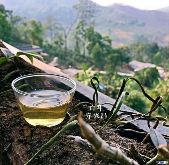 新 普洱茶的独特魅力：探索喝茶时手发麻的原因和解决 *** 