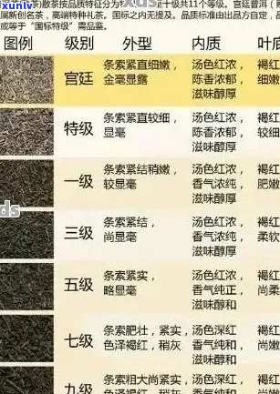 普洱茶和坝子茶：全面比较与优劣分析