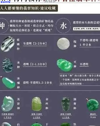 全面比较：翡翠排行及优质推荐，助你轻松选购翡翠饰品