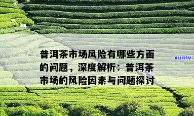 网上购买正宗普洱茶的可行性及其风险分析