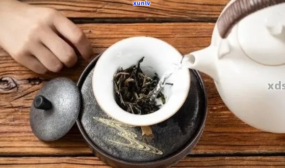 古树普洱茶的泡法与技巧：如何泡出美味香醇的好茶？