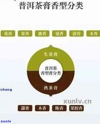 新探究普洱茶甜香的源产地及其独特风味