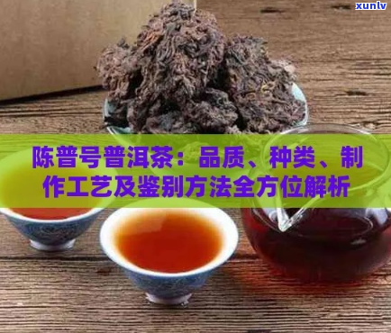 陈香牌普洱茶6146:详细介绍、品质特点、泡法与品鉴，助您成为茶艺达人