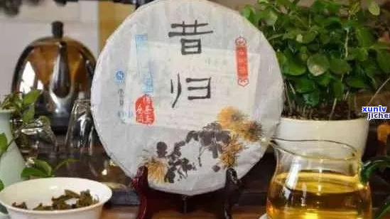 普洱茶昔归的含义、由来及品饮 *** 详解