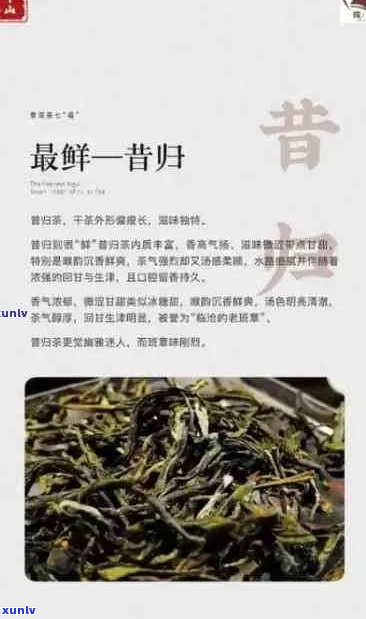 普洱茶昔归的含义、由来及品饮 *** 详解