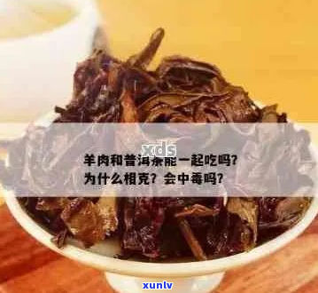 牛肉与茶叶的相克关系：事实还是误解？探讨两者的营养互补与相互作用