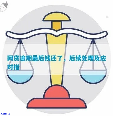 如何处理网贷逾期了钱还了问题-如何处理网贷逾期了钱还了问题呢