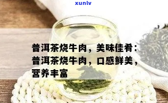 牛肉和茶叶：营养搭配与健效益