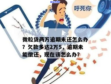 欠了两万微粒贷准备分期还怎么操作-微粒贷欠两万会坐牢吗