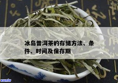 冰岛茶保存时间：隔夜是否适宜饮用？