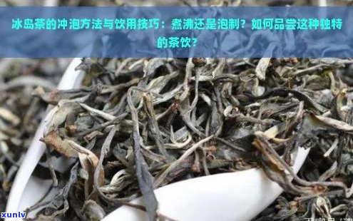 冰岛茶可以煮着喝吗？怎么煮？适合煮吗？可以泡几泡？可以放多久？