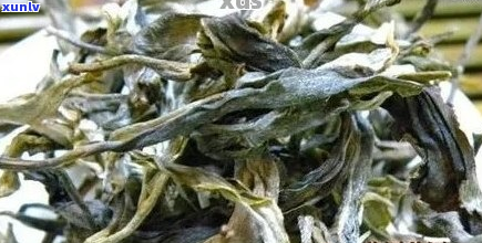 临沧无量山普洱茶357克多少钱？云南无量山古树普洱茶怎样？