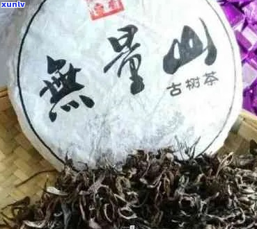 普洱茶无量山古树茶价格及口感汇总：1斤多少钱？