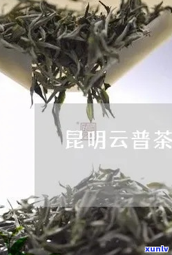 云南昆明茶厂：翠峰龙井，古树普洱，经典茉莉花茶，高山云雾茶