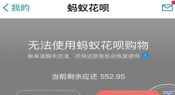 如果花呗实在还不起怎么办避免逾期费用增加