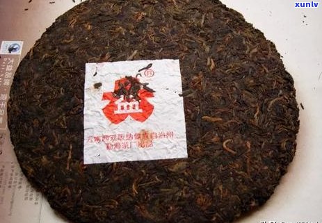 昆明茶厂2006年复产的7581茶叶品种：特点、品质与口感详解