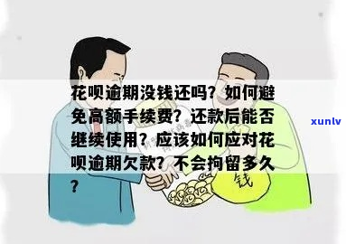 如果花呗实在还不起怎么办避免逾期费用增加