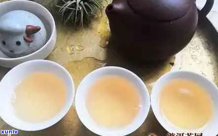 探索小普洱茶饼泡法：如何实现一杯香醇美味的茶饮体验