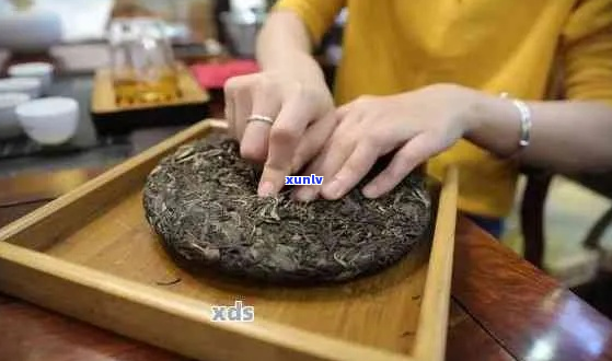 小饼普洱茶冲泡 *** 详解：从选茶到冲泡，一步步教您品鉴完美口感