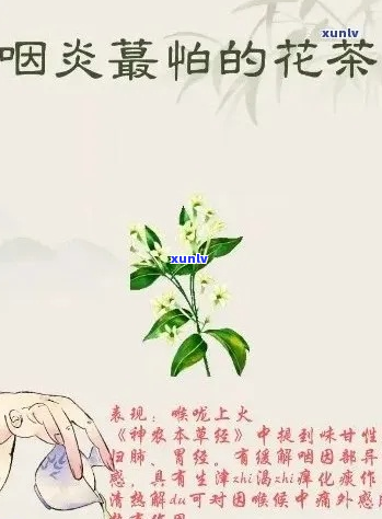 新 '哪些茶有助于缓解咽炎症状？'