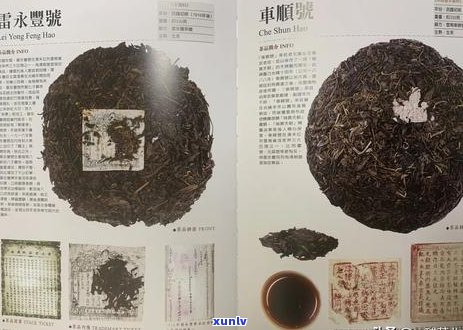 紫与生普洱茶的完美结合：全面解析其功效、作用与饮用 *** 