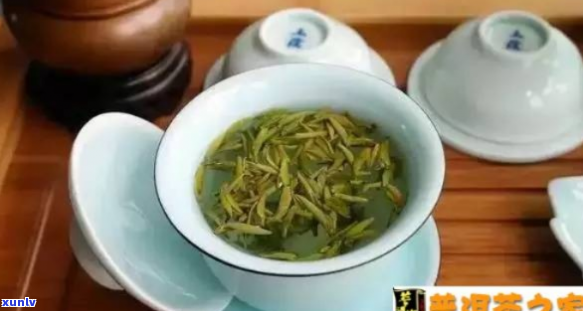 普洱茶与绿茶：哪个更有效实现瘦身目标？