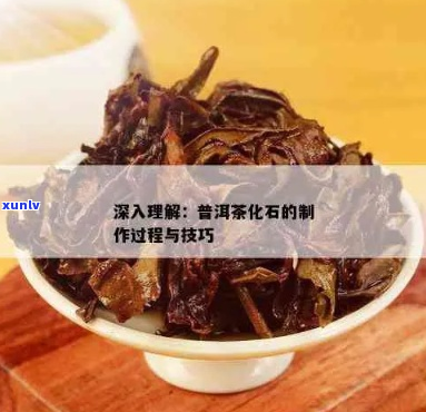 探究普洱茶化石的 *** 工艺及影响因素，全面了解这一独特茶叶的魅力