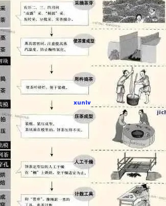 普洱茶工艺解析：从原料到 *** 的全流程，探究普洱茶的独特魅力