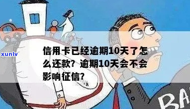 信用逾期10天忘记还怎么办-信用逾期10天后全部还清