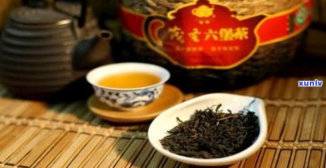 普洱茶制茶工艺流程：从采摘到 *** 的全过程