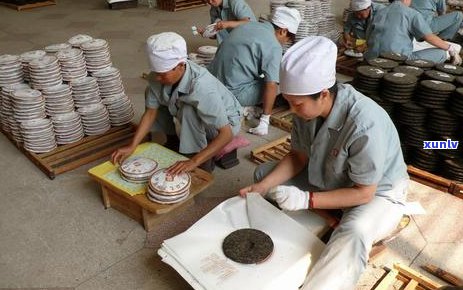 普洱茶制茶工艺流程：从采摘到 *** 的全过程