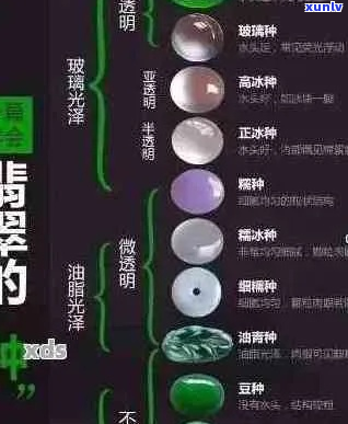 翡翠刚性：定义、特性、鉴别与选购指南，全面解析如何挑选高品质翡翠