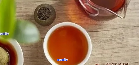 新 多次泡饮正品普洱茶的影响与建议